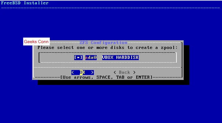 Disk to Create Zpool Disk to Create Zpool