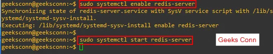 Enable dan Start Redis