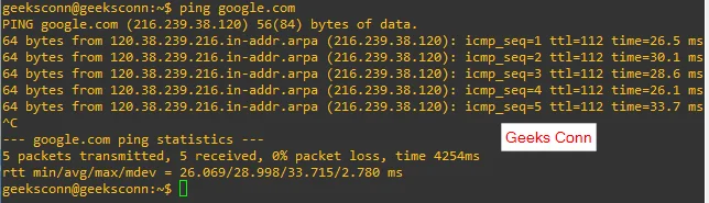Output Perintah Ping google