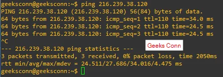 Ping IP Address Public google