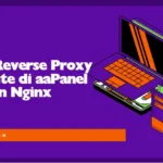 Reverse Proxy Website di aaPanel