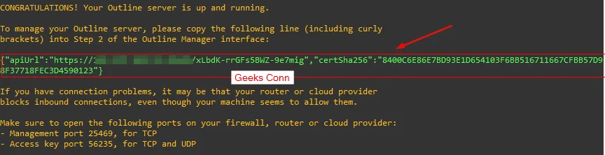 Copy apiUrl Outline VPN Server