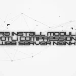 Install Modules Brotli Compression Nginx