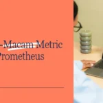 Metric Types Prometheus