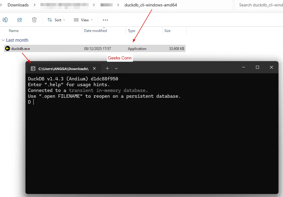 Execute File Binary duckDB Windows