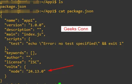 Package Json App1 Node 24