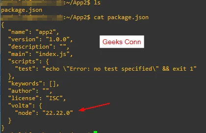 Package Json App2 Node 22