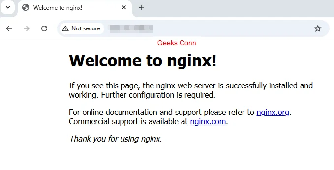 Pengujian Nginx Web Server Ubuntu 24.04