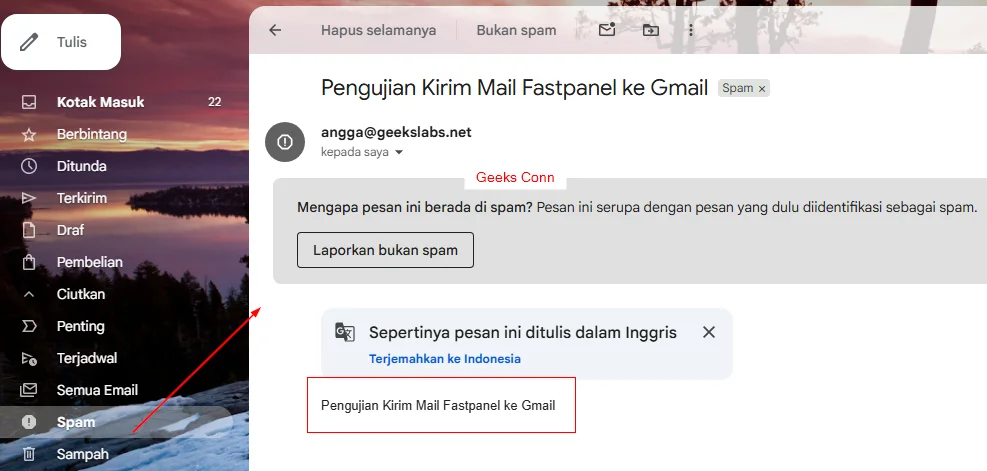 Hasil Pengiriman Mail Fastpanel ke Gmail Hasil Pengiriman Mail Fastpanel ke Gmail
