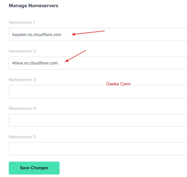 Manage Nameservers NEO Domain