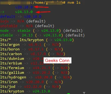 Melihat Versi Node Js Terinstall di NVM